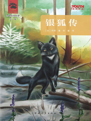 cover image of 银狐传